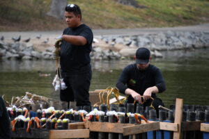 fireworks behind the scenes