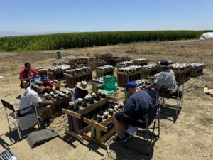 fireworks setup