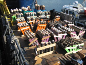 fireworks racks ready to load